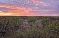 Tbd FM 540, No City, TX 79520