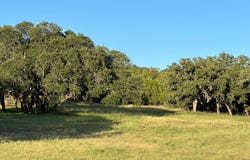 180 Bee Hive Rd SW, Hunt, TX 78024