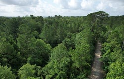 TBD CR 4020, Crockett, TX 75835