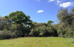 TBD Loose Cow Road, Garwood, TX 77442