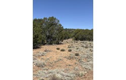 Tbd CR 8060, Concho, AZ 85924