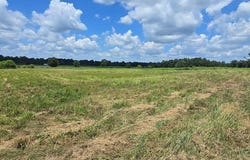 3.347 Acres County Rd 91, Slocomb, AL 36375