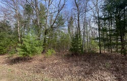 Hidden Hills Road lot: 1, Houghton Lake, MI 48629