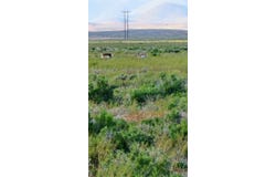 400 Cold Spring Point Road, Crescent Valley, NV 89821
