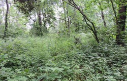 17840 Circle Drive, Boscobel, WI 53805