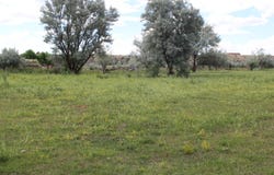 La Senisa Road, Taos, NM 87571