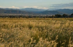 1220 Don Bernabe Garcia, Taos, NM 87571-1111