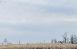 900 S, Warren, IN 46792