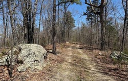1 Off FSR 2531, Belleview, MO 63623