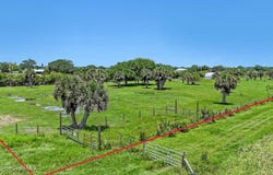 0000 Orlando Avenue, Mims, FL 32754