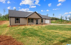 COUNTY ROAD 664 lot: 16, MUSCADINE, AL 36269