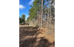 Emile Davis Road, Poplarville, MS 39470
