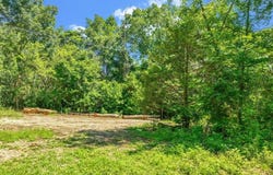 Lot 3 - 3 acres of 16106 Boundary Line  RD, Garfield, AR 72732