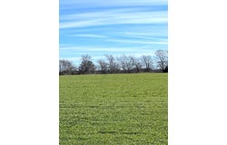 7.2ac Farm Road 824, Roxton, TX 75477