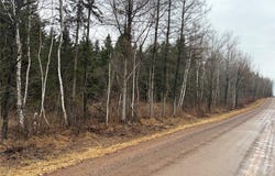ON Sheep Camp Road, Ladysmith, WI 54848
