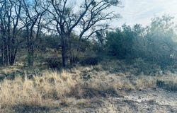 194 Willie B Drive, Brownwood, TX 76801