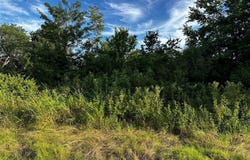 Tbd FM 1499, Paris, TX 75462