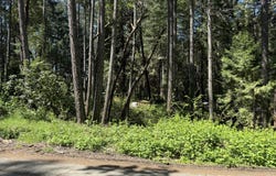 Sunny Valley Loop, Wolf Creek, OR 97497