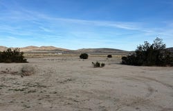 No Name, Joshua Tree, CA 92252