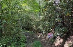 Edwards Chapel Rd, Fries, VA 24330
