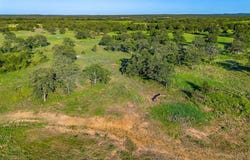 15305 CR136, Gordon, TX 76453