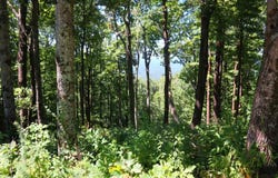 233 Southview Ledge Road, Landrum, SC 29356