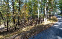 DAWN DR, BASYE, VA 22810