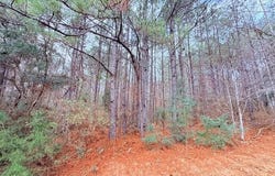 Busy Corner Road, Gloster, MS 39638