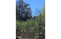 106 County Road 439, Joaquin, TX 75954