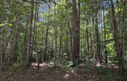 201 Stonebridge Boulevard, Bremen, GA 30110