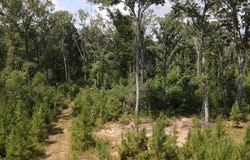 0 Callison Highway, Greenwood, SC 29646