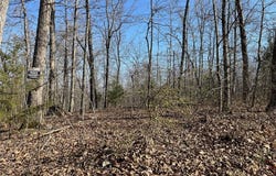 Tract #1 Lake Road, Silva, MO 63964