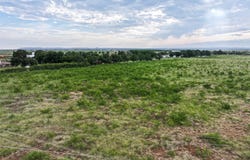 160 Porcupine Trail, Tuscola, TX 79562