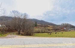 298 S Turkey Creek Road, Leicester, NC 28748