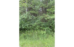 0000 Radov Road, Gladwin, MI 48624