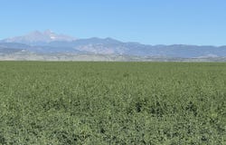 TBD W County Rd 4E, Berthoud, CO 80513