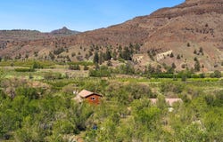 41473 Orchard View Road, Kimberly, OR 97848