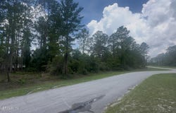 107 GEORGETOWN POINT RD, Georgetown, FL 32139