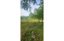 181 51st Avenue, Gruetli Laager, TN 37339
