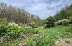 763 WHETSTONE ROAD, MANNINGTON, WV 26582