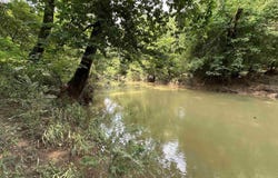 764 Brown Road, Danville, AL 35619