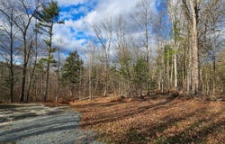 7297 State Route 97, Narrowsburg, NY 12764
