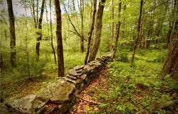 Route 52, Wawarsing, NY 12489