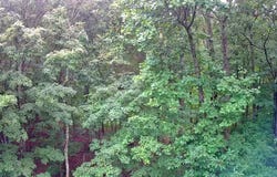 0 Highway 156, South Pittsburg, TN 37380