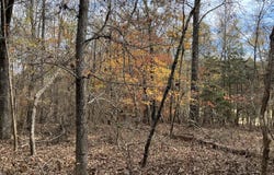000 Deane Beaver Road, Bear Creek, NC 27207