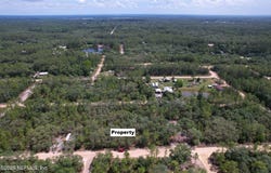 DOTTIE Street, Interlachen, FL 32148