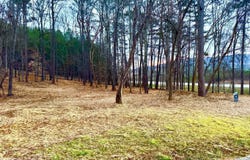 1 Magnolia, Summerville, GA 30747