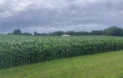 tbd 247TH Avenue, Cleveland, MN 56017