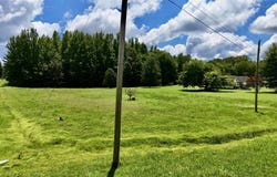 Pratt, Lexington, TN 38351