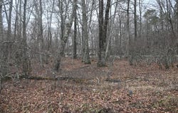 Oakenshield Drive, Tamiment, PA 18371